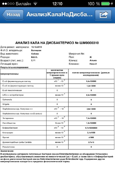 Сколько кала анализа дисбактериоз