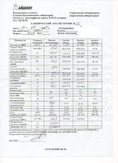 Стадия рака по анализу крови. Анализ крови у онкологических больных. Общий анализ крови при онкологии показатели. Биохимический анализ крови при онкологии. Биохимический анализ крови при ра.