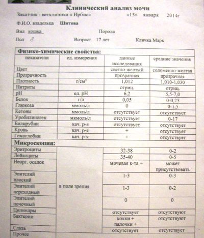 Обозначения общего анализ мочи расшифровка. Клинический анализ мочи. Клинический анализ мочи расшифровка. Клинический анализ мочи памятка.