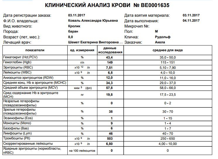 Какие анализы крови показывают почки