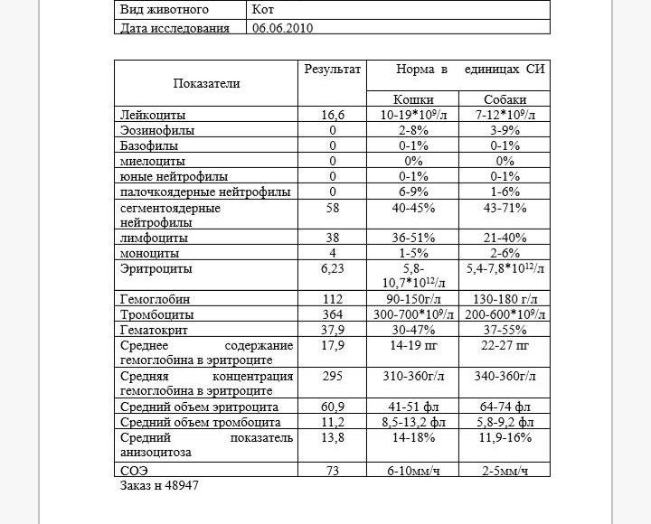 Общий анализ мочи собаки. Анализ мочи кошки норма. Анализ мочи у кота норма расшифровка анализа. Исследование мочи у кошек. Анализ мочи кошки.