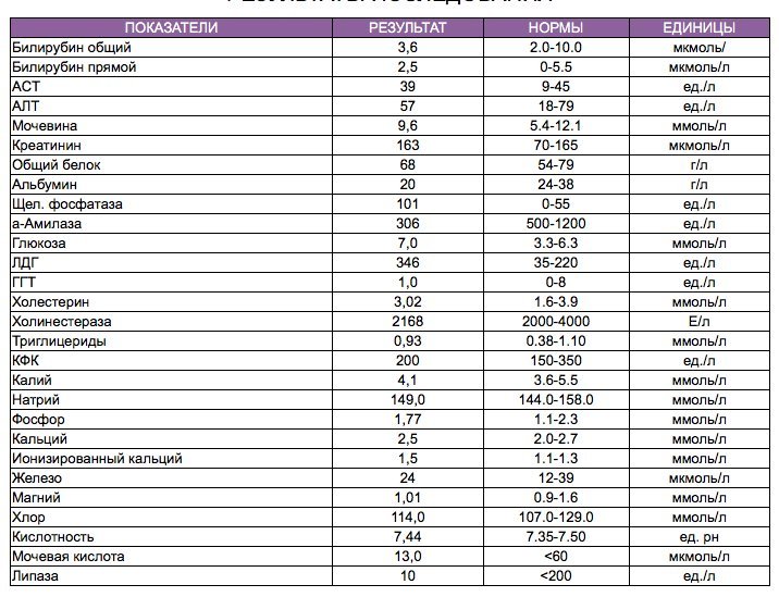 Какой показатель билирубина