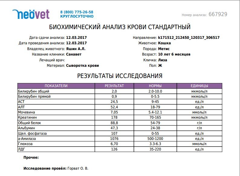 марихуана в биохимии крови марихуана в биохимии крови