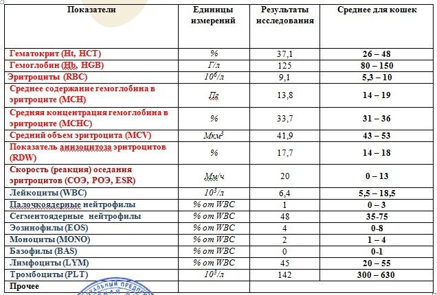 Гемоглобин строение гема и глобина. Функции гемоглобина и миоглобина. Роль гемоглобина в процессе дыхания. Строение гемоглобина биохимия. Норма гемоглобина у детей по возрасту.