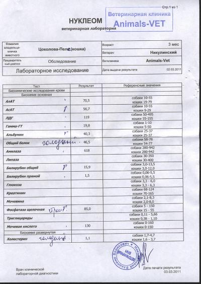 Платно сдать анализы астрея