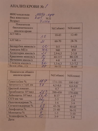 Амилаза мочи как собирать. Амилаза анализ крови. Амилаза сокращение в анализе.