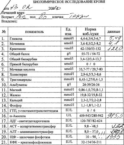 Как выглядят анализы при раке