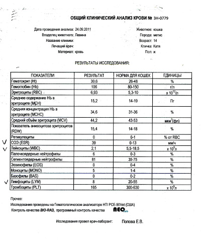 Оак бланк образец