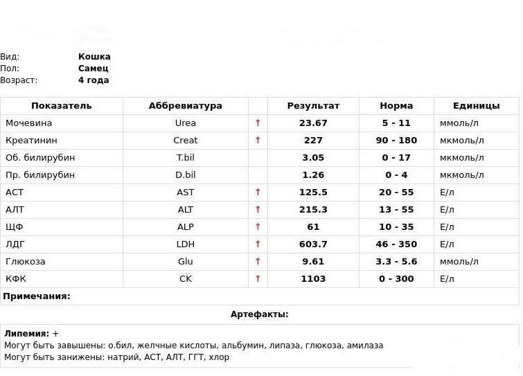 Аст в крови таблица Очень нужна консультация независимого врача - 11 декабря 2018 - Форум Зоовет