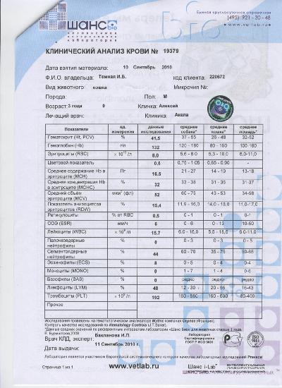 Биохимия у собак аст норма. Щелочная фосфатаза повышена у собаки. Алт повышен у собаки. Пдф анализ крови норма. Общий анализ крови алт аст норма.