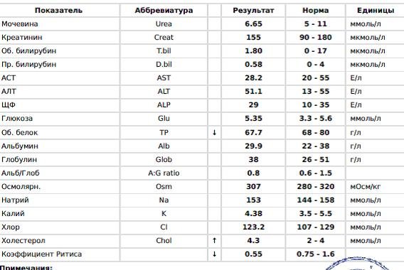 У кота повышен креатинин