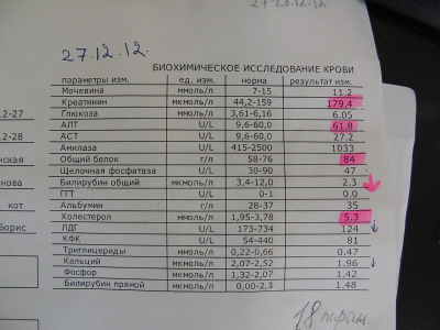 Какие нужно сдать анализы для проверки печени. Анализы почек.