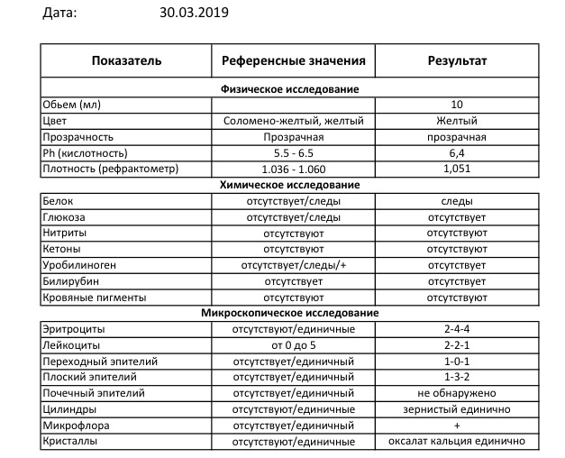 Почки повышены лейкоциты