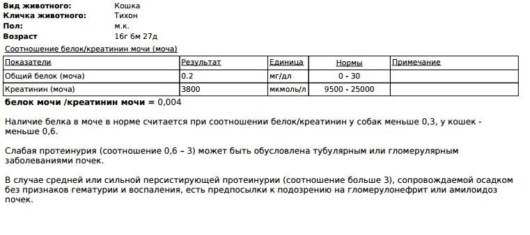 Повышение креатинина в моче