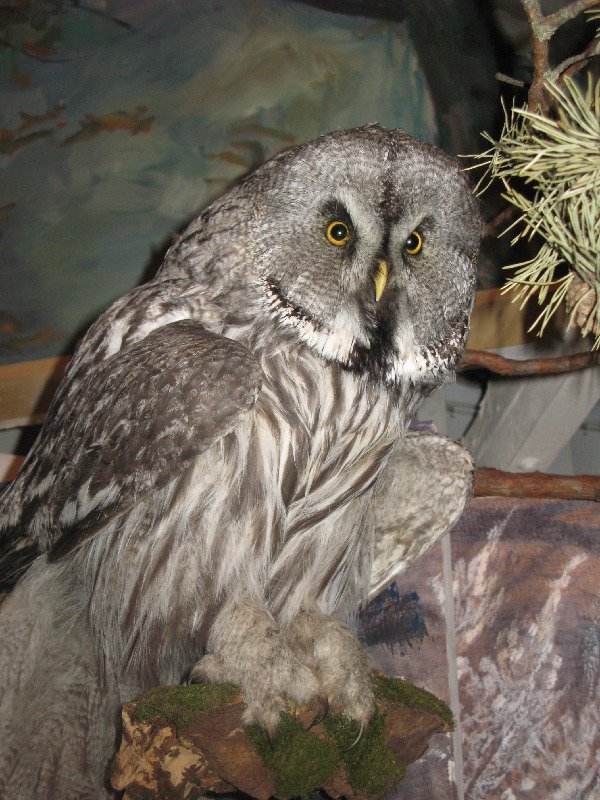 Картинка 21 из 36