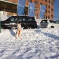 ��������� ����� �������� ����-������ ������������� ������